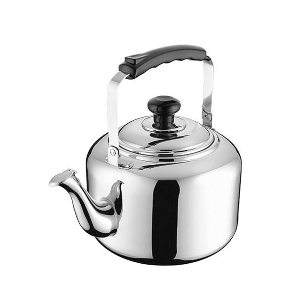 чайник_6_л__металл__p_l__proff_cuisine_1.jpg