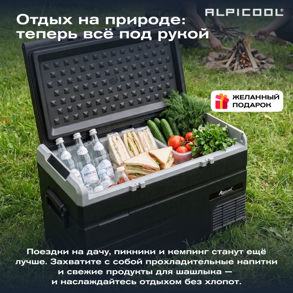 alpicool_ts120__12_24__13.jpg