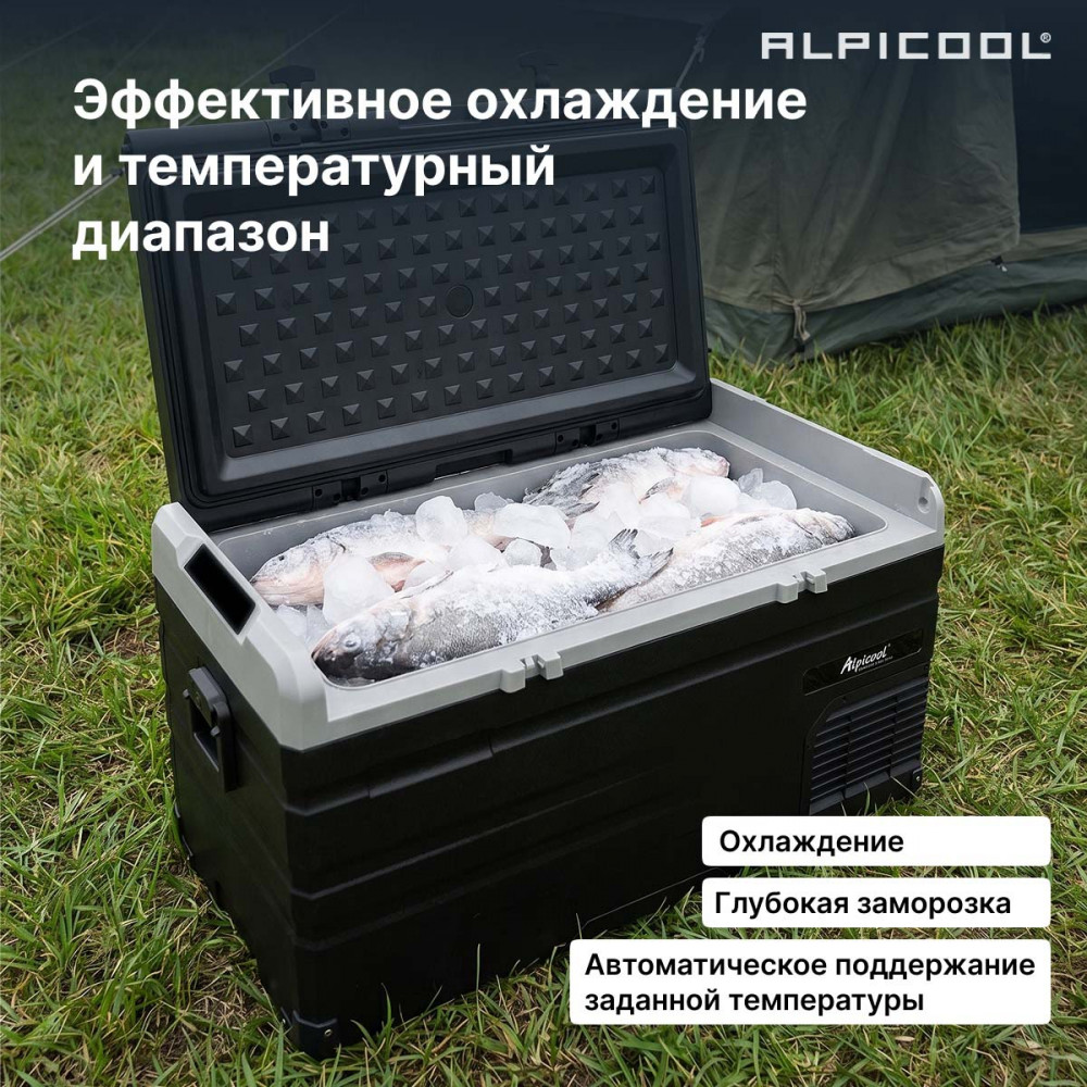alpicool_ts100__12_24__20.jpg