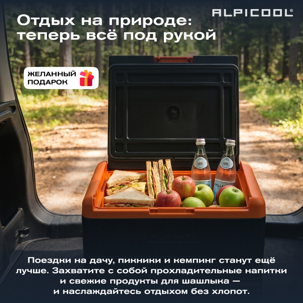 alpicool_cl30__12_24__4.jpg