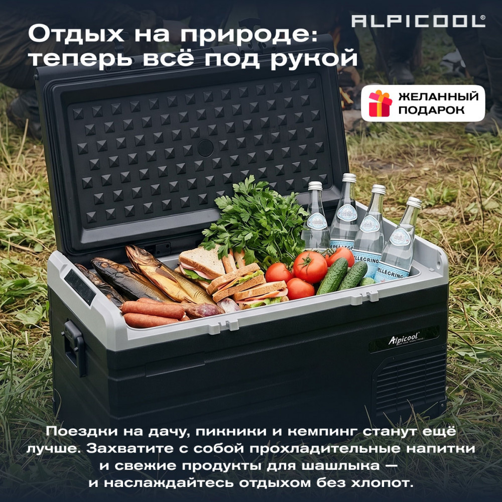 alpicool_ts80__12_24__28.jpg