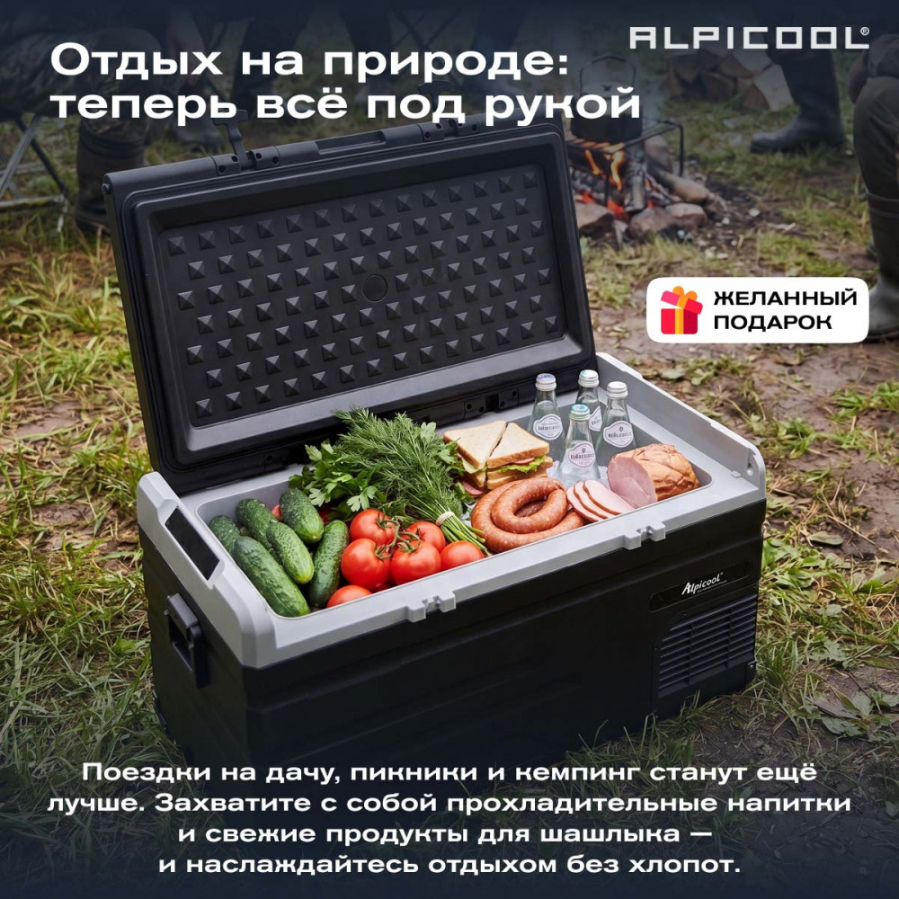 alpicool_ts100__12_24__12.jpg