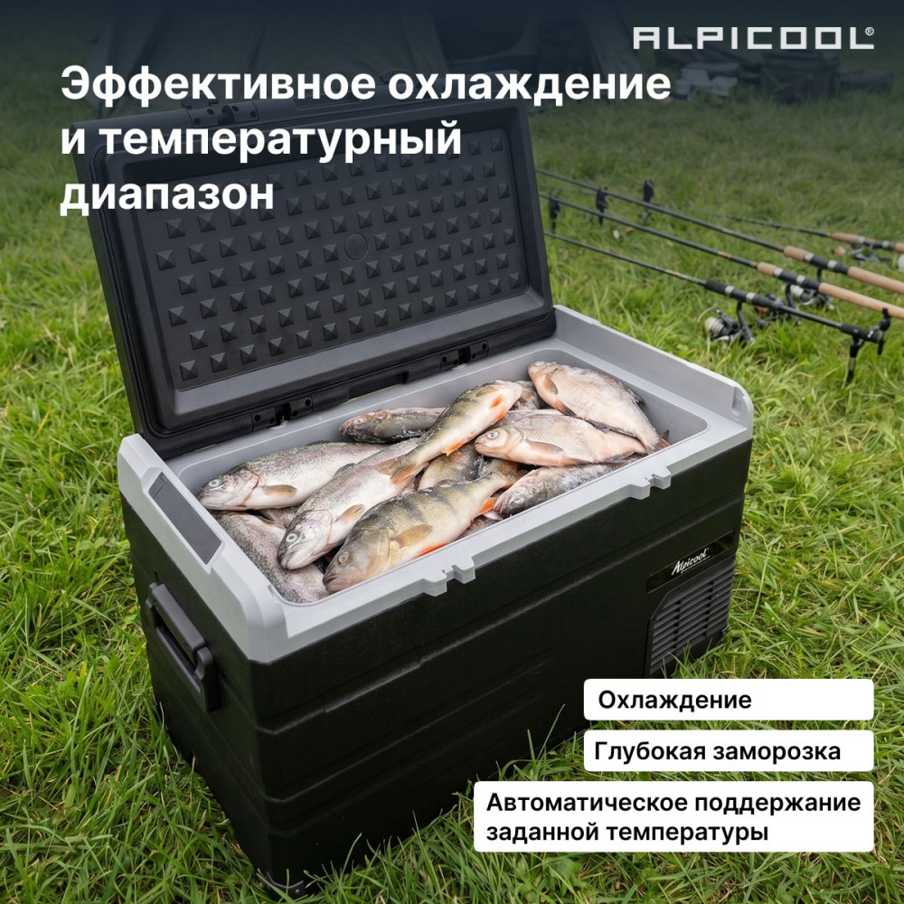 alpicool_ts120__12_24__21.jpg