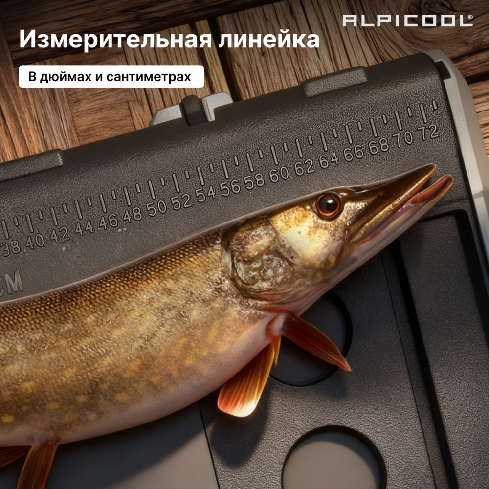 alpicool_ts100__12_24__22.jpg