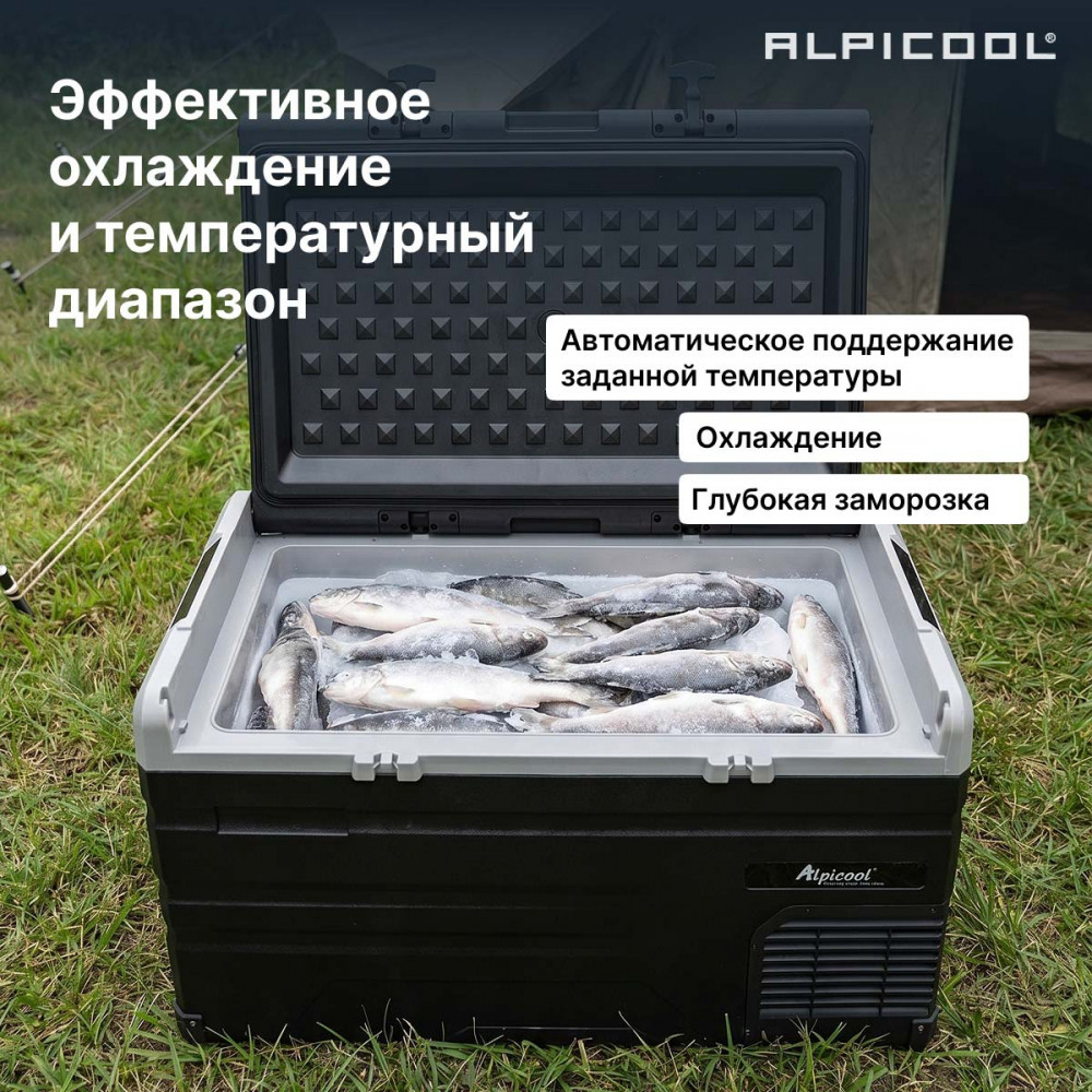 alpicool_ts80__12_24__20.jpg