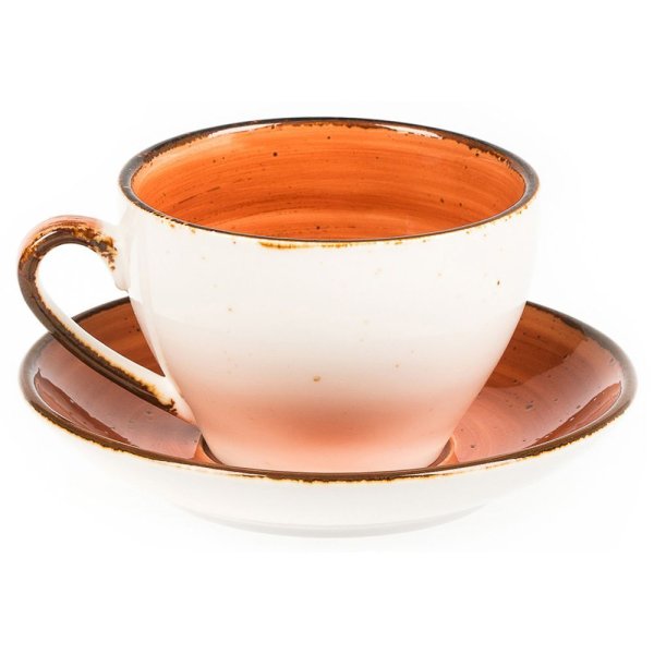 чайная_пара_fusion_brown_shore_220_мл__p_l__proff_cuisine_1.jpg